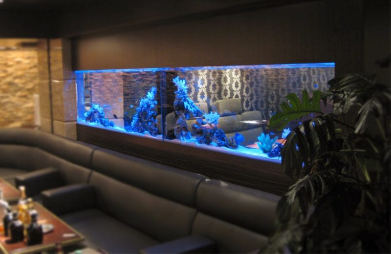 東京都　飲食店に設置されている大型海水魚水槽　メンテナンス事例 水槽画像１