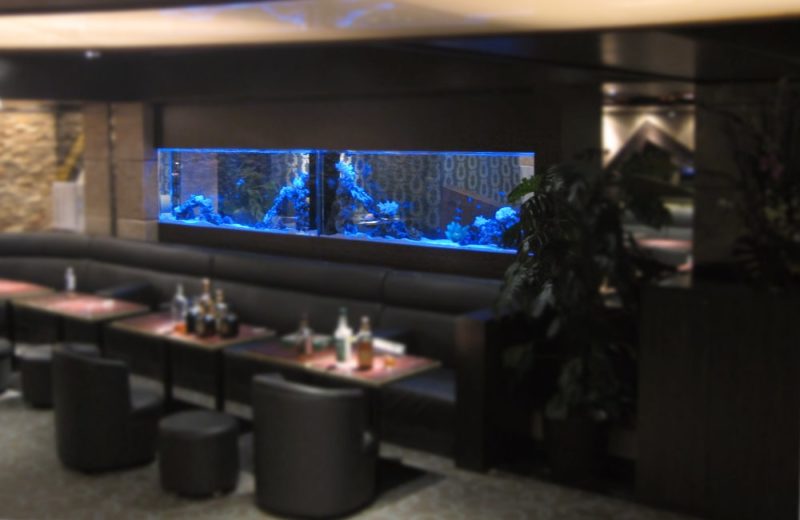 東京都　飲食店に設置されている大型海水魚水槽　メンテナンス事例 水槽画像２