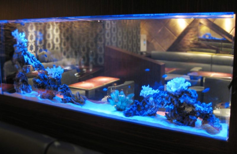 東京都　飲食店に設置されている大型海水魚水槽　メンテナンス事例 水槽画像３