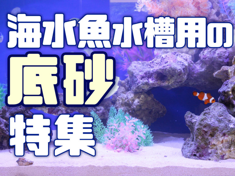 海水魚水槽用の底砂特集｜マリンアクアリウムにおすすめな底砂6選です｜東京アクアガーデン