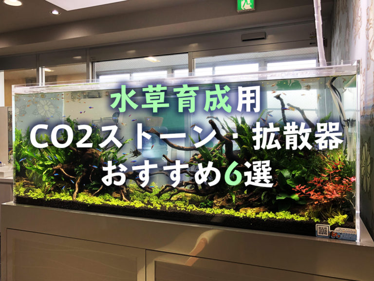 CO2添加水草水槽の仕組みと運用ポイント・機材や設置方法など徹底解説｜東京アクアガーデン