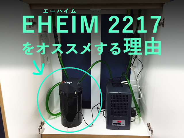 エーハイム2217を解説｜90cmからの水槽におすすめ・プロが絶賛｜東京 