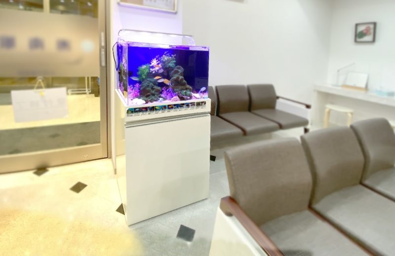 神奈川県藤沢市 眼科の待合室　60cm海水魚水槽 販売・メンテナンス事例 水槽画像５