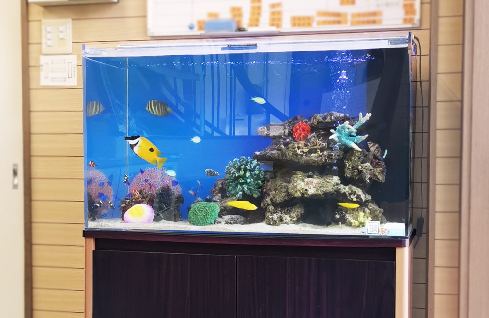愛知県碧南市　事務所に設置　90cm海水魚水槽　水槽リース事例 メイン画像