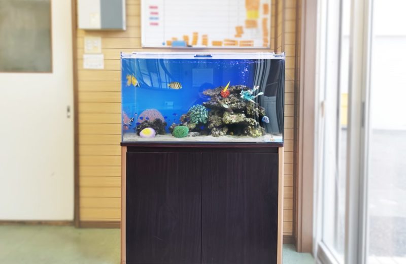 愛知県碧南市　事務所に設置　90cm海水魚水槽　水槽リース事例 水槽画像２