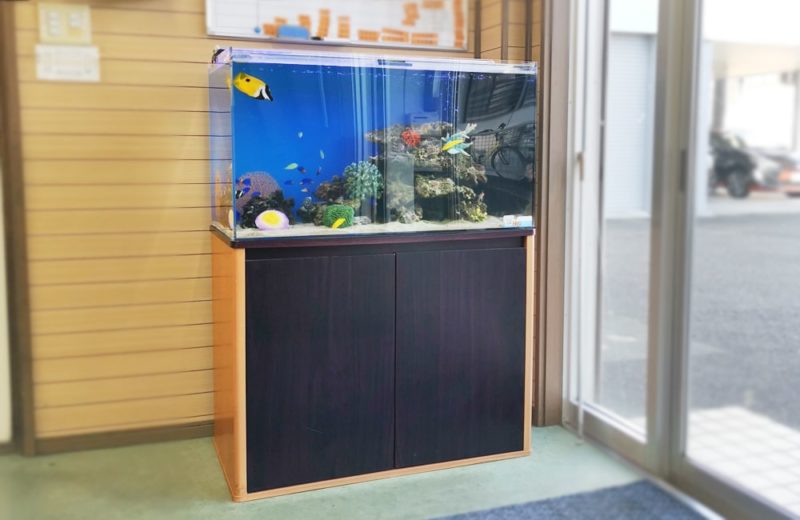 愛知県碧南市　事務所に設置　90cm海水魚水槽　水槽リース事例 水槽画像５