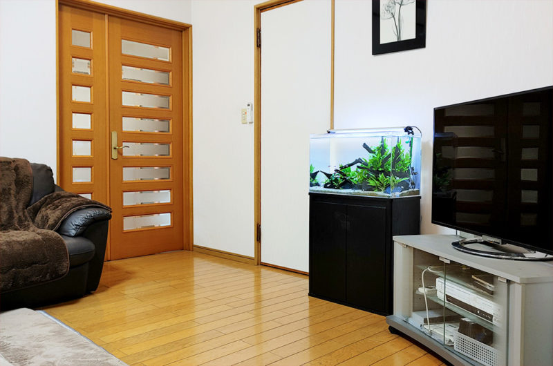 愛知県　個人宅のリビングに設置　60cm淡水魚水槽レンタル事例 水槽画像２