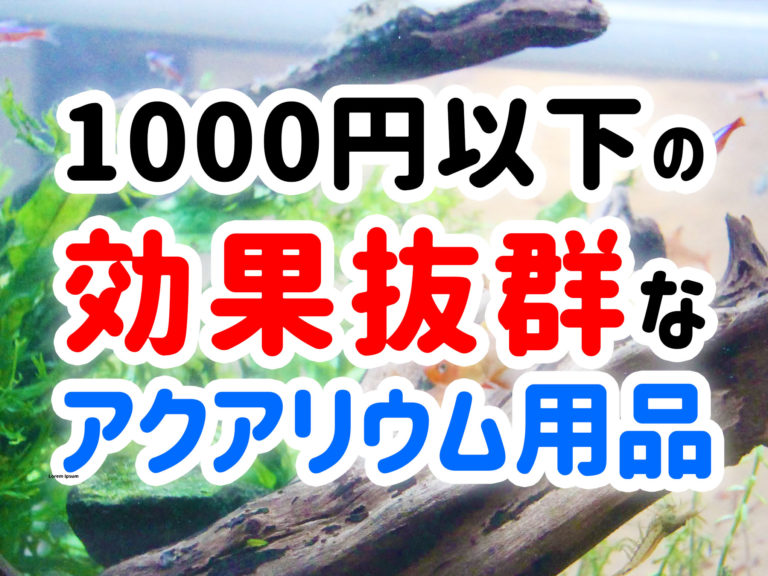 508円 【2021春夏新作】 観賞魚用 高級ネット ＬＬ 細目