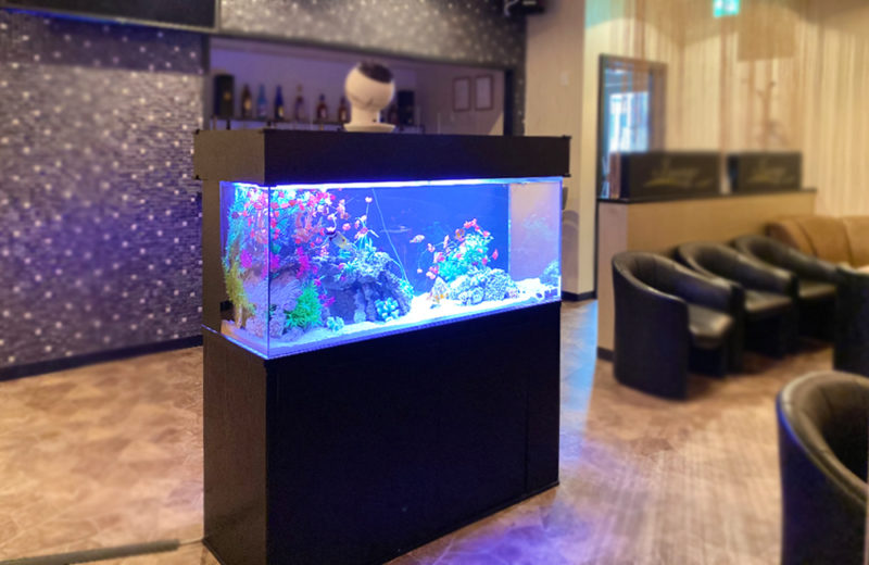 神奈川県 飲食店に設置した120cm海水魚水槽 水槽レンタル事例 水槽画像２