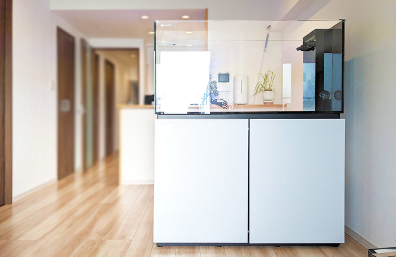 神奈川県　横浜市　個人宅　お試し淡水魚水槽　レンタル事例