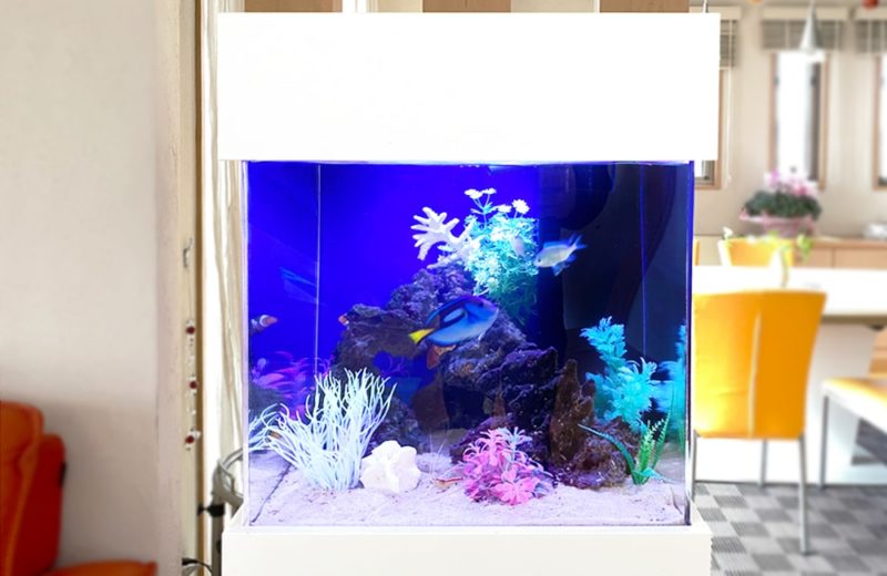 神奈川県　ご自宅のリビング　45cm海水魚水槽　レンタル事例 水槽画像２