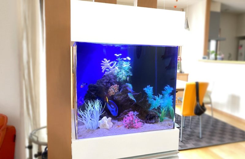 神奈川県　ご自宅のリビング　45cm海水魚水槽　レンタル事例 水槽画像５