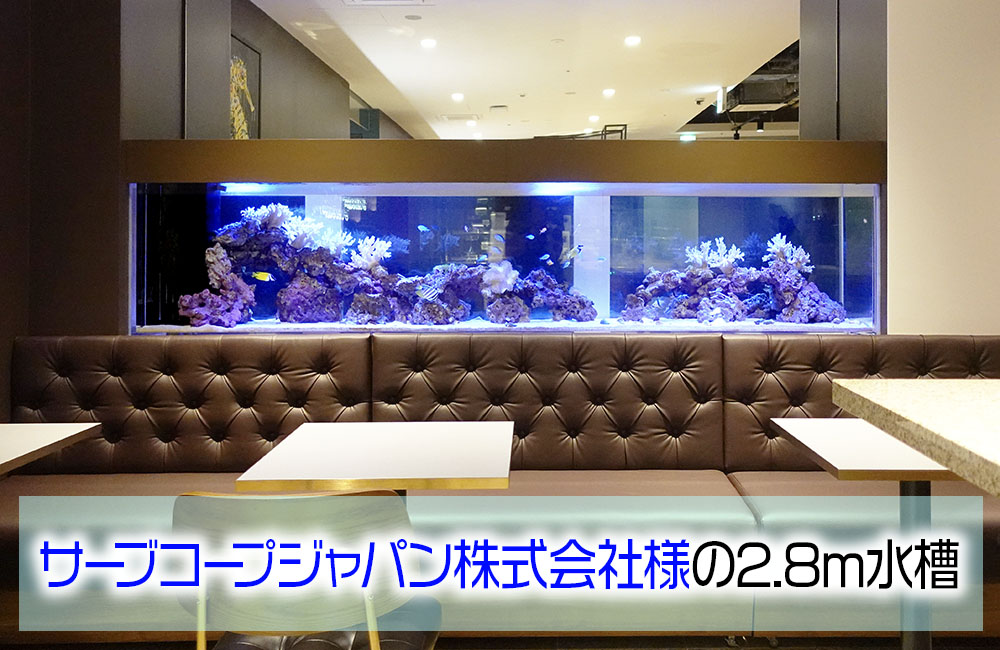 サーブコープジャパン株式会社様の2.8ｍ大型サンゴ水槽！のサムネイル画像