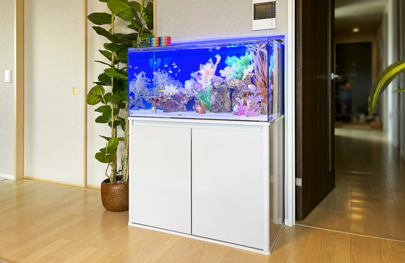 大阪府　企業様の事務所に設置　90cm海水魚水槽　レンタル事例 水槽画像１