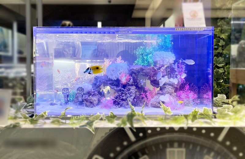 大阪府　商業施設のブランド専門店に設置　90cm海水魚水槽　短期レンタル事例 水槽画像１