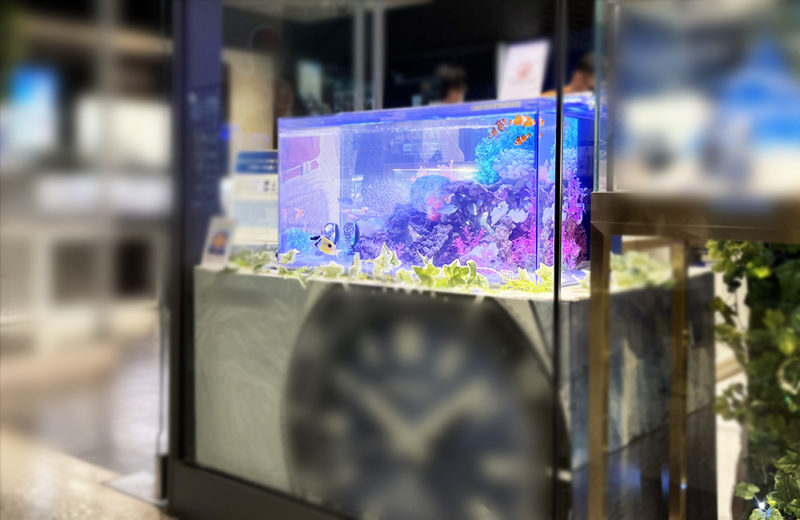 大阪府　商業施設のブランド専門店に設置　90cm海水魚水槽　短期レンタル事例 水槽画像２