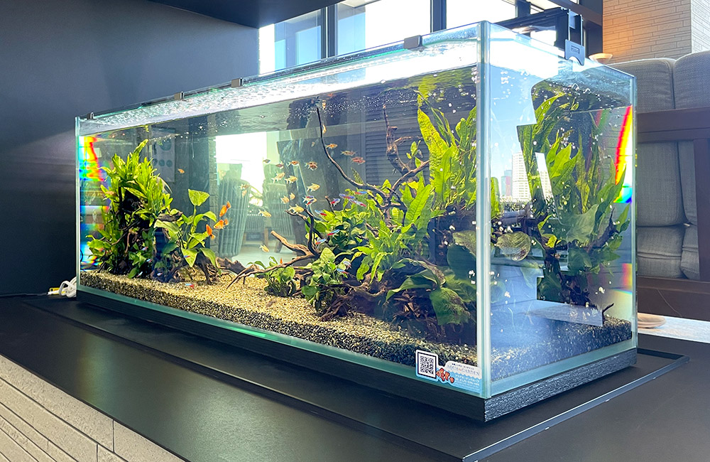 東京都　三井ガーデンホテル五反田様に設置　120cm淡水魚水槽　短期レンタル事例