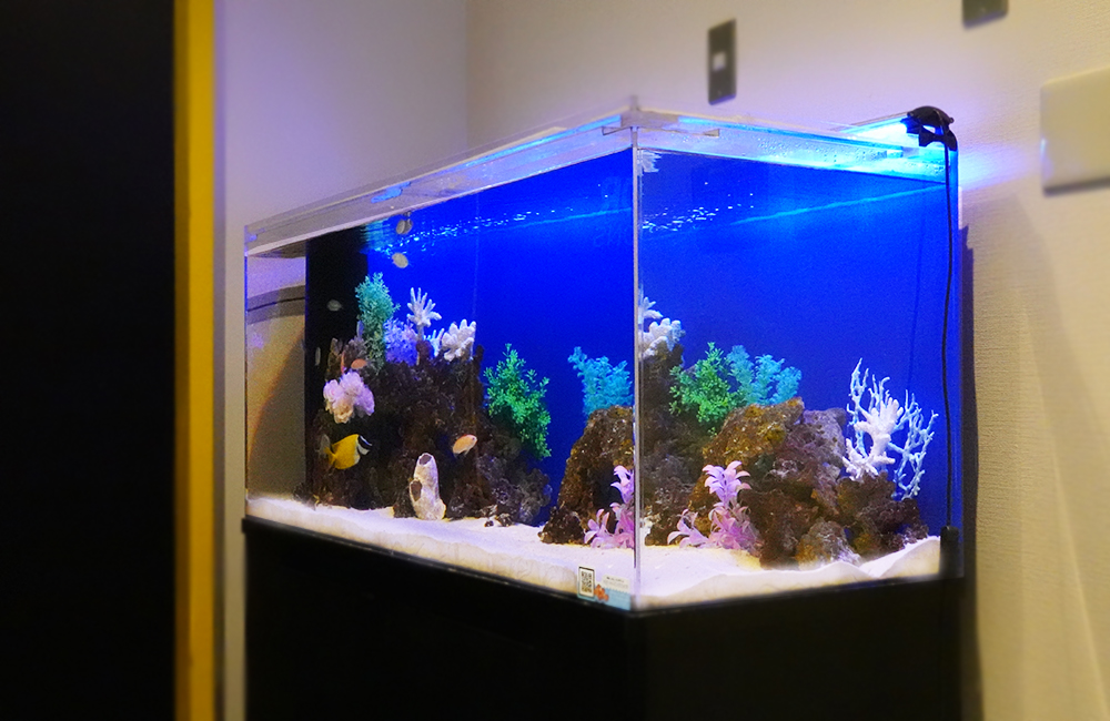 品川区 企業様 オフィス出入口に設置 120cm海水魚水槽 レンタル事例 メイン画像