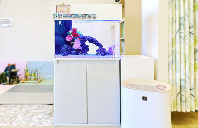 立川市 クリニック様 待合室に設置 60cm海水魚水槽 レンタル事例 水槽画像１