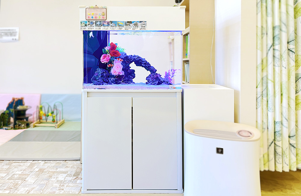 立川市 クリニック様 待合室に設置 60cm海水魚水槽 レンタル事例のサムネイル画像