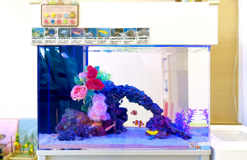 立川市 クリニック様 待合室に設置 60cm海水魚水槽 レンタル事例 水槽画像３