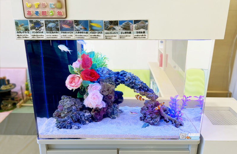 立川市 クリニック様 待合室に設置 60cm海水魚水槽 レンタル事例 水槽画像４