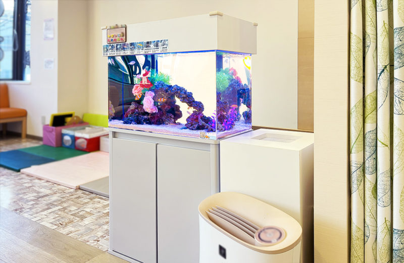 立川市 クリニック様 待合室に設置 60cm海水魚水槽 レンタル事例 水槽画像５