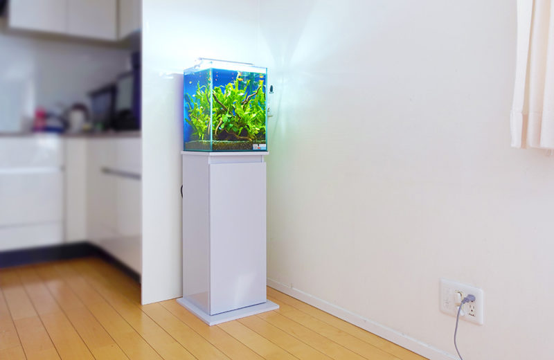 東京都 ご自宅に設置 30cm淡水魚水槽 レンタル事例 水槽画像２