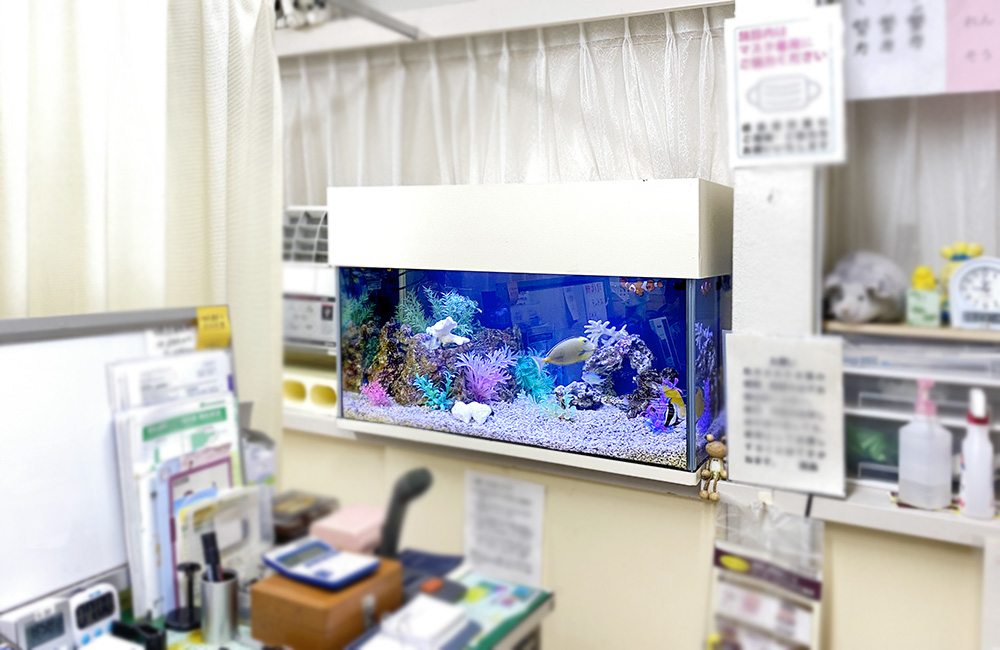神奈川県 内科クリニック様 90cm海水魚水槽 メンテナンス事例