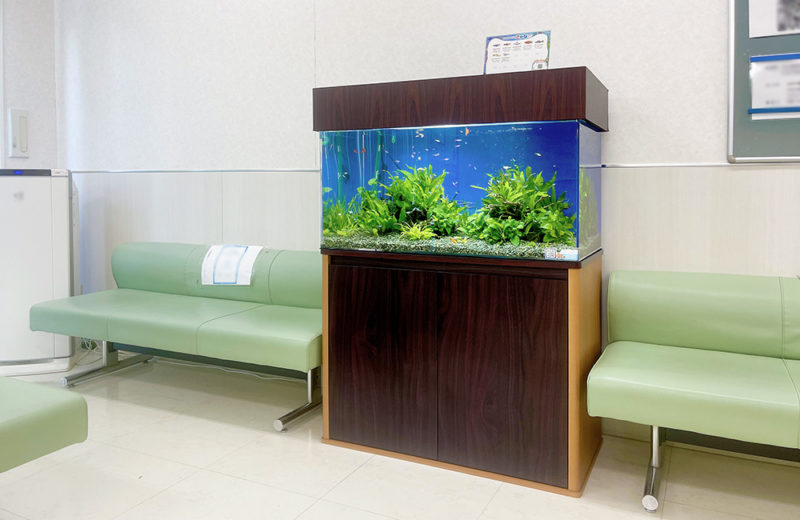神奈川県横浜市 クリニック 90cm淡水魚水槽 レンタル事例 水槽画像１