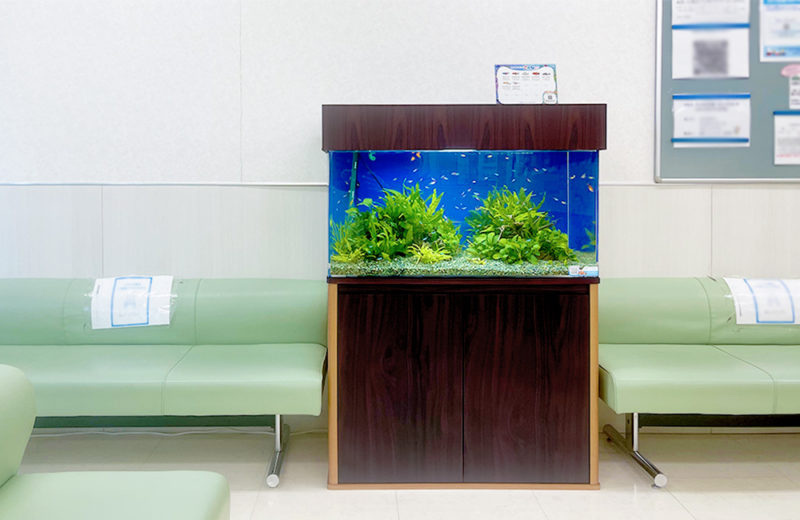 神奈川県横浜市 クリニック 90cm淡水魚水槽 レンタル事例 水槽画像３