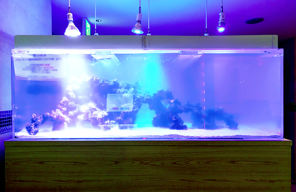 埼玉県 ホテル様 大型水槽 スポットメンテナンス（リニューアル）事例のサムネイル画像
