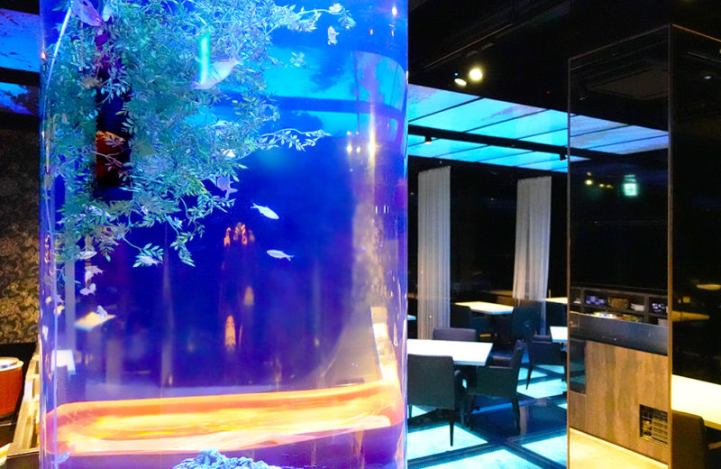 日本料理「魚月」様 淡水の円柱水槽 水槽リース事例 水槽画像４