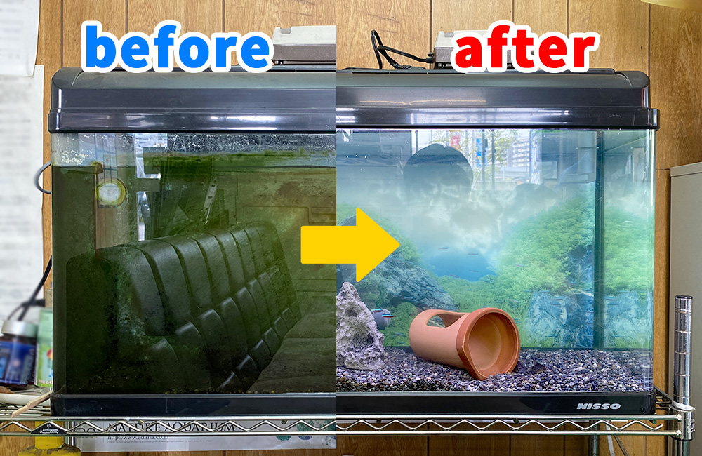 愛知県 企業様 淡水魚水槽 スポットメンテナンス事例 メイン画像