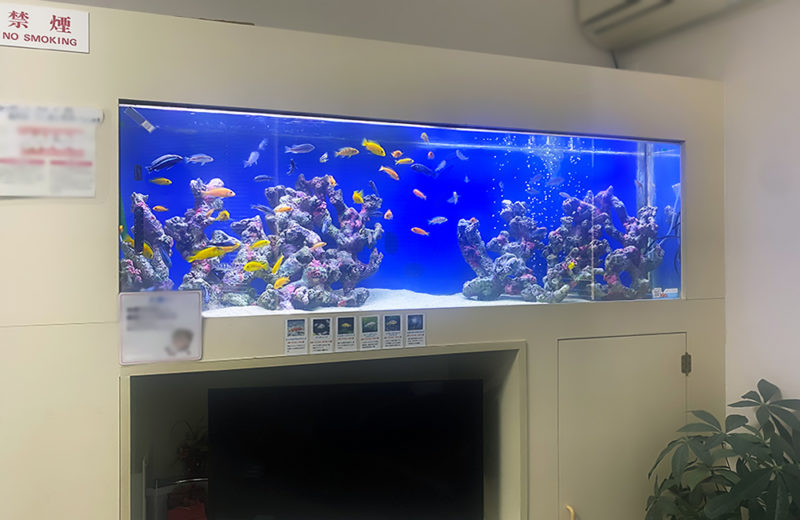 歯科医院　待合室　180cm大型淡水魚水槽　メンテナンス事例 水槽画像１