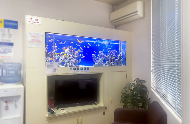 歯科医院　待合室　180cm大型淡水魚水槽　メンテナンス事例 水槽画像５