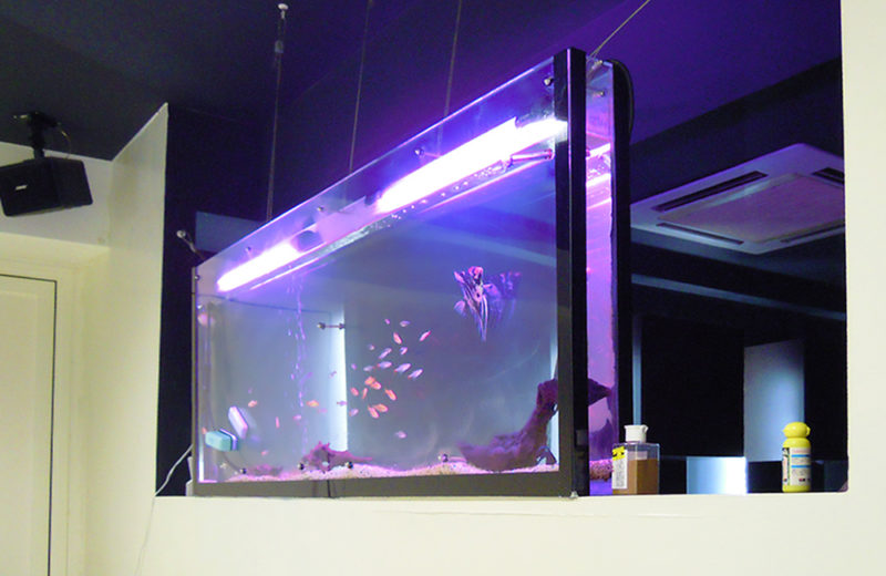 東京都　美容室　140cm大型淡水魚水槽　メンテナンス事例 水槽画像１