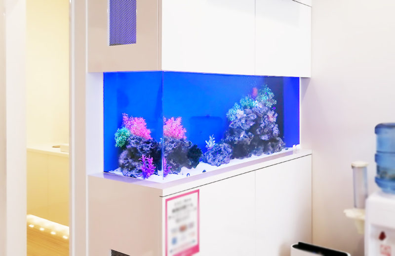 東京都　眼科クリニック様 110cm海水魚水槽 リース事例 水槽画像１