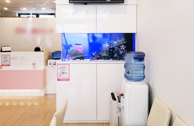 東京都　眼科クリニック様 110cm海水魚水槽 リース事例 水槽画像５