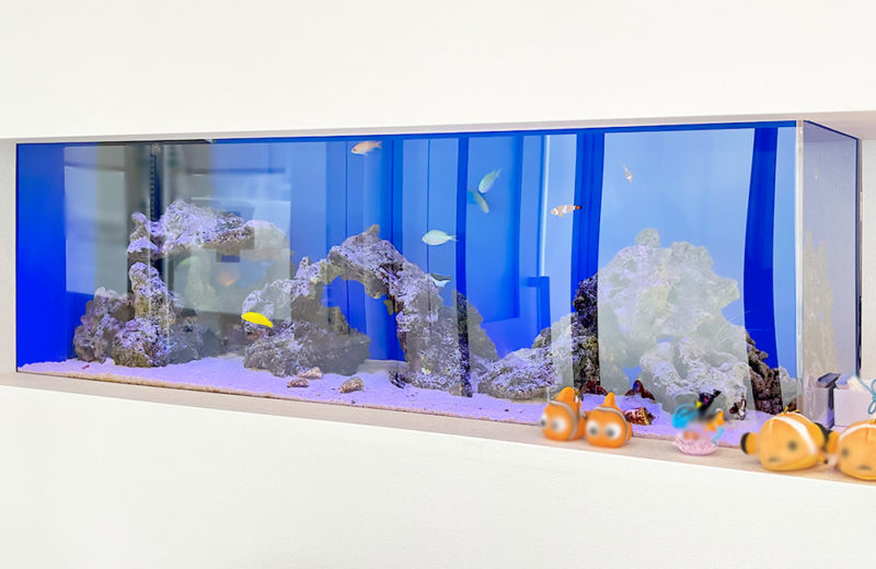 神奈川県 内科クリニック様 埋め込み120cm海水魚水槽 レンタル事例 水槽画像１