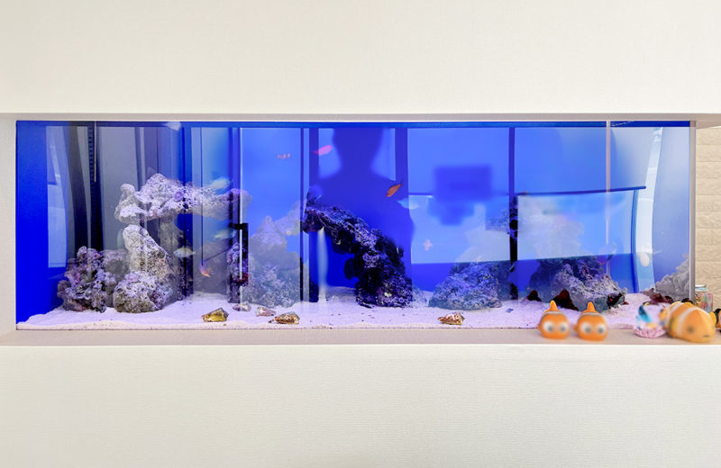 神奈川県 内科クリニック様 埋め込み120cm海水魚水槽 レンタル事例 水槽画像５