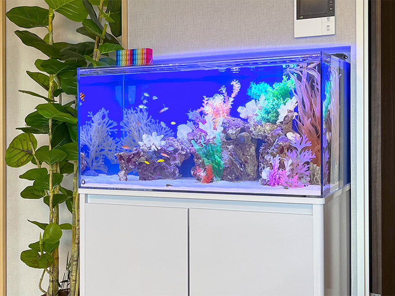 大阪府　企業様の事務所に設置　90cm海水魚水槽　レンタル事例