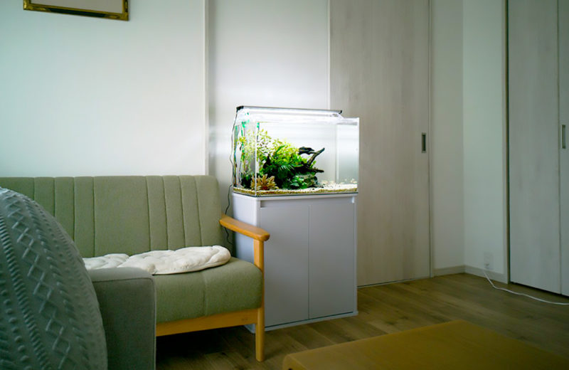 愛知県名古屋市 個人宅様 60cm淡水魚水槽 レンタル事例 水槽画像３