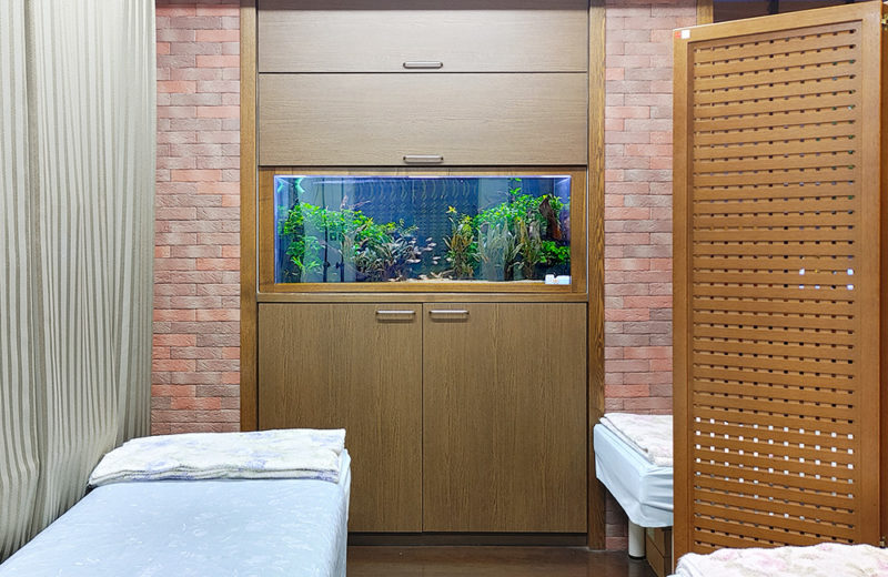 静岡県　病院様　120cm水草水槽　定期メンテナンス事例　その後 水槽画像２