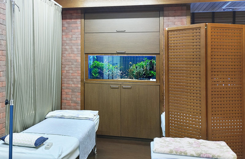 静岡県　病院様　120cm水草水槽　定期メンテナンス事例　その後 水槽画像３