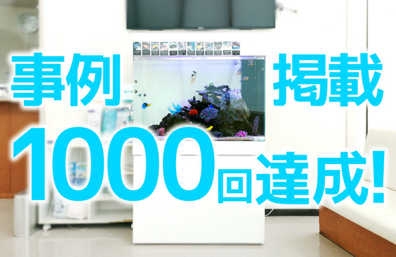 愛知県　眼科クリニック様　90cm海水魚水槽　3年目の水槽レンタル事例 水槽画像１
