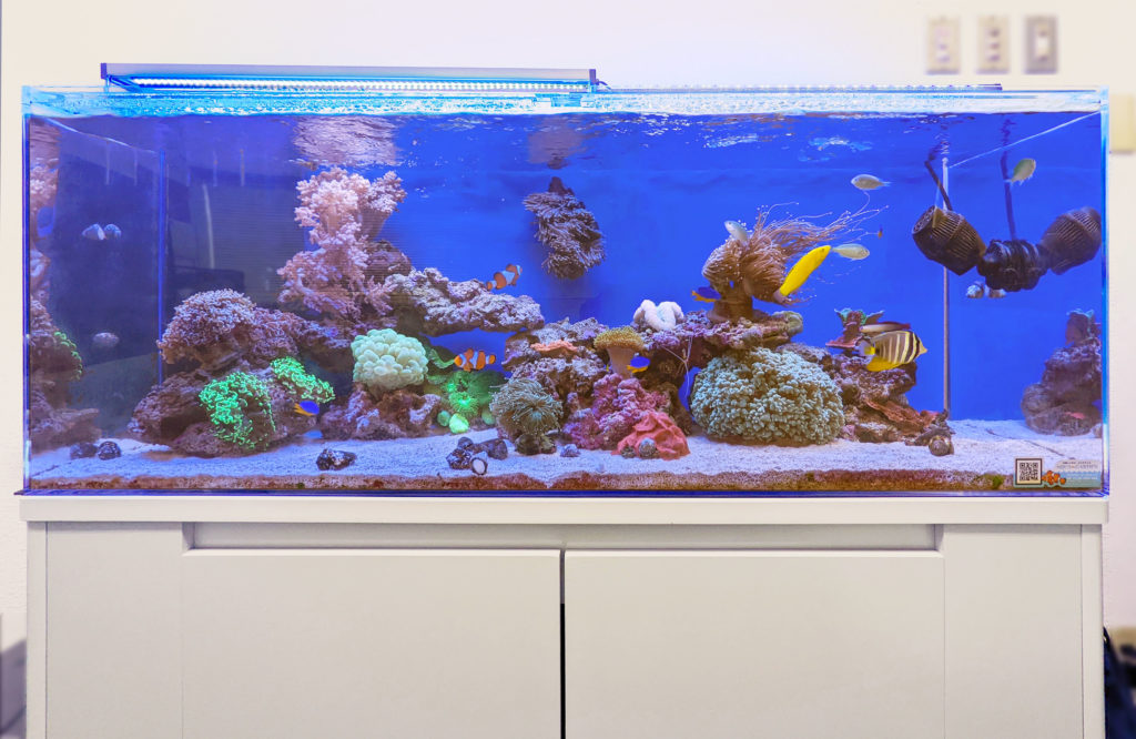 埼玉県 企業様応接室 120cmサンゴ水槽 レンタル事例のサムネイル画像