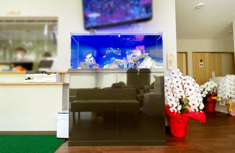 埼玉県 内科小児科クリニック様 120cm海水魚水槽 レンタル事例 水槽画像２