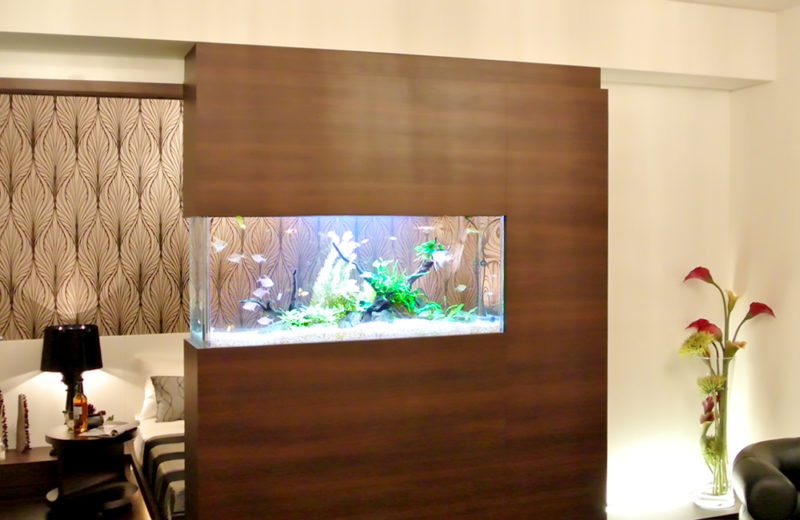 東京都　モデルルーム様　110cm埋め込み水槽　メンテナンス事例 水槽画像２