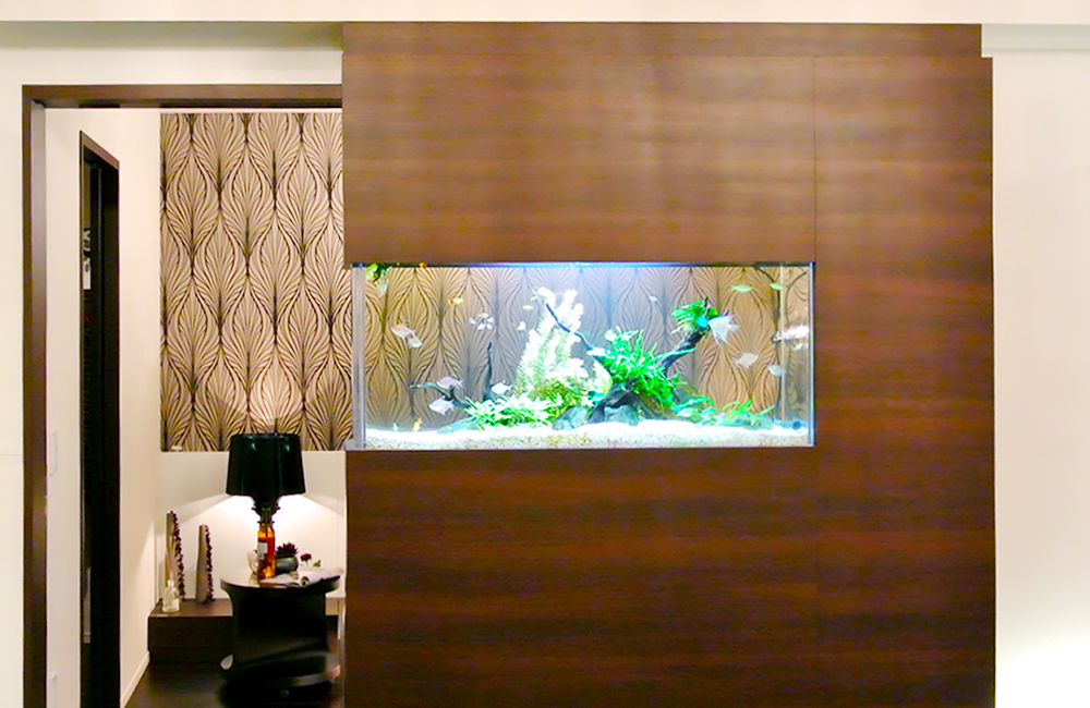 東京都　モデルルーム様　110cm埋め込み水槽　メンテナンス事例のサムネイル画像